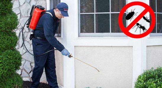 Alaçam Hamam Böceği İlaçlama böcek ilaçlama ve haşere kontrolü — ilaclama-tr.com